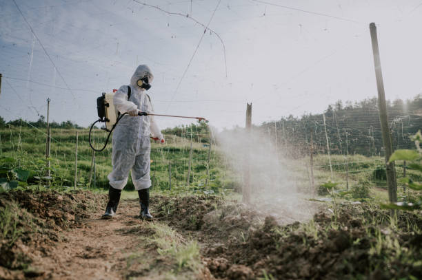 Best Best Pest Control Companies  in Rochester, PA