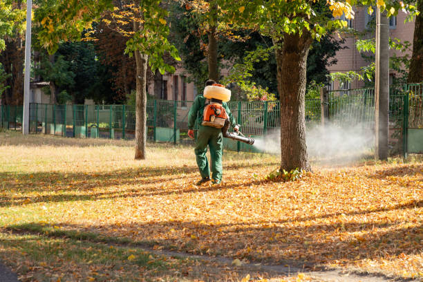 Best Affordable Pest Control Services  in Rochester, PA